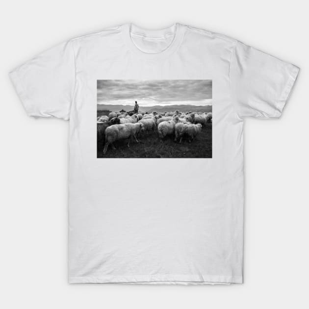 Shepherd T-Shirt by kerensegev